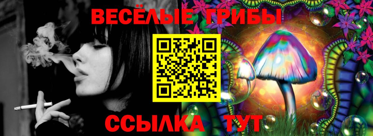 Галлюциногенные грибы Cubensis Сарапул